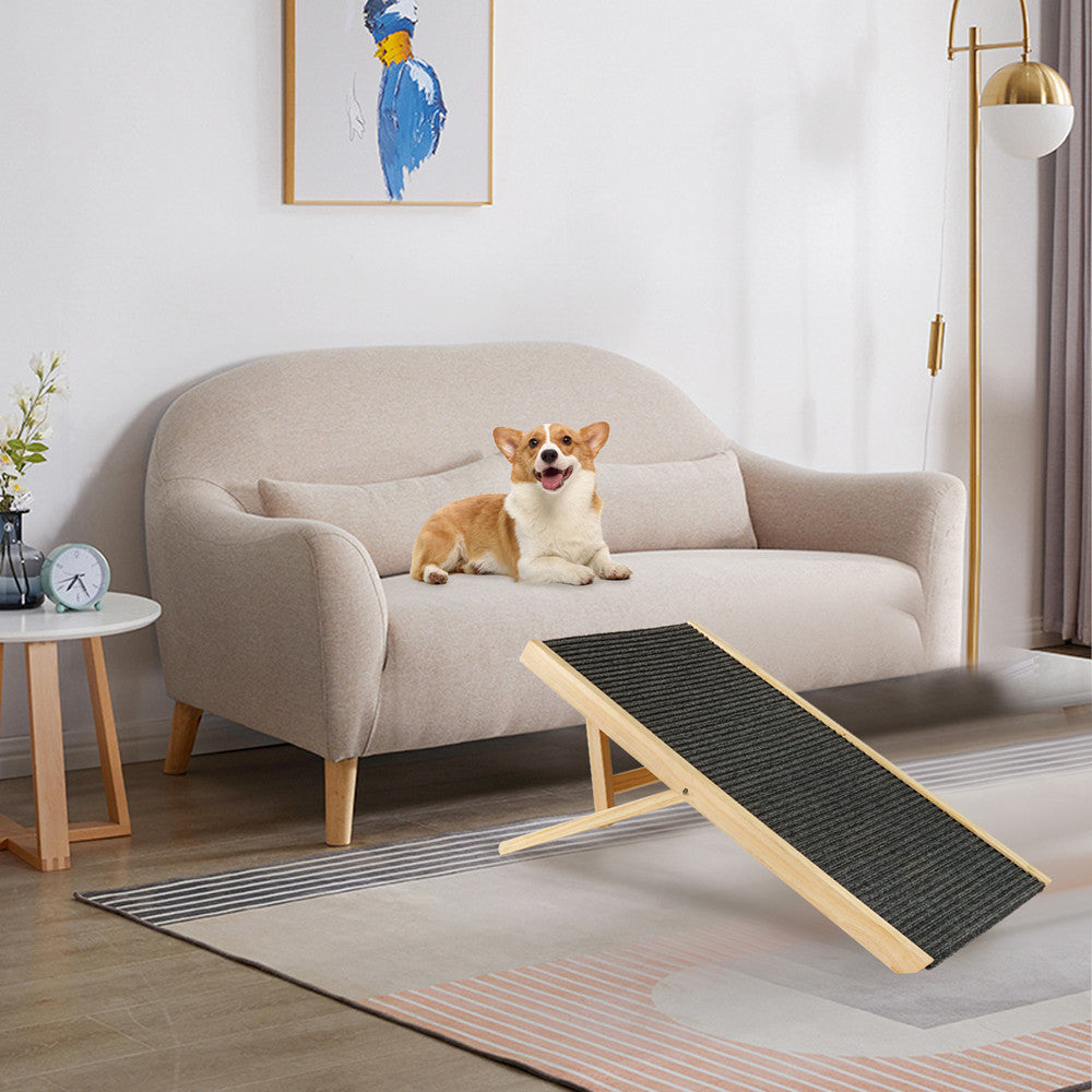 Dog Ramp Ladder
