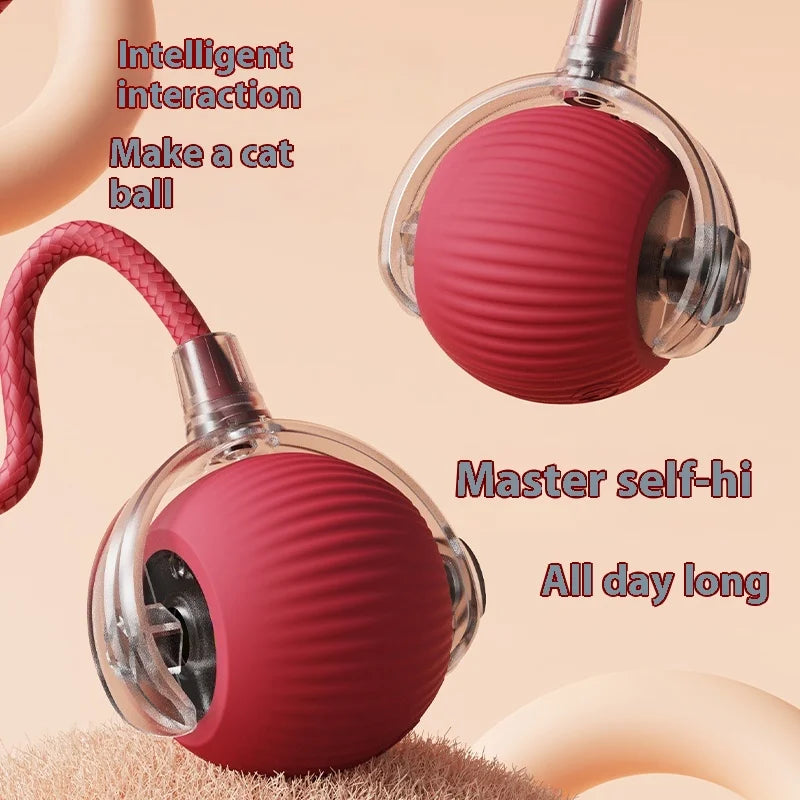 Interactive Ball