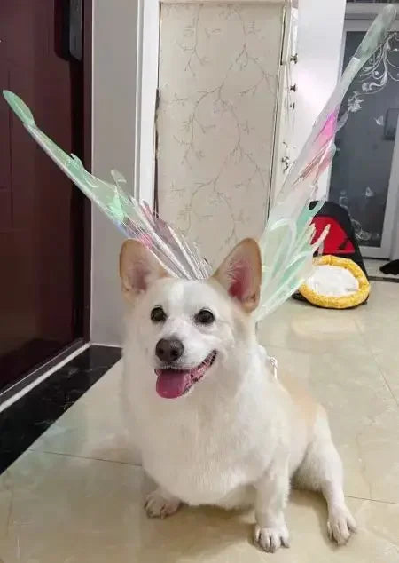 Electric Butterfly Wings for Dogs