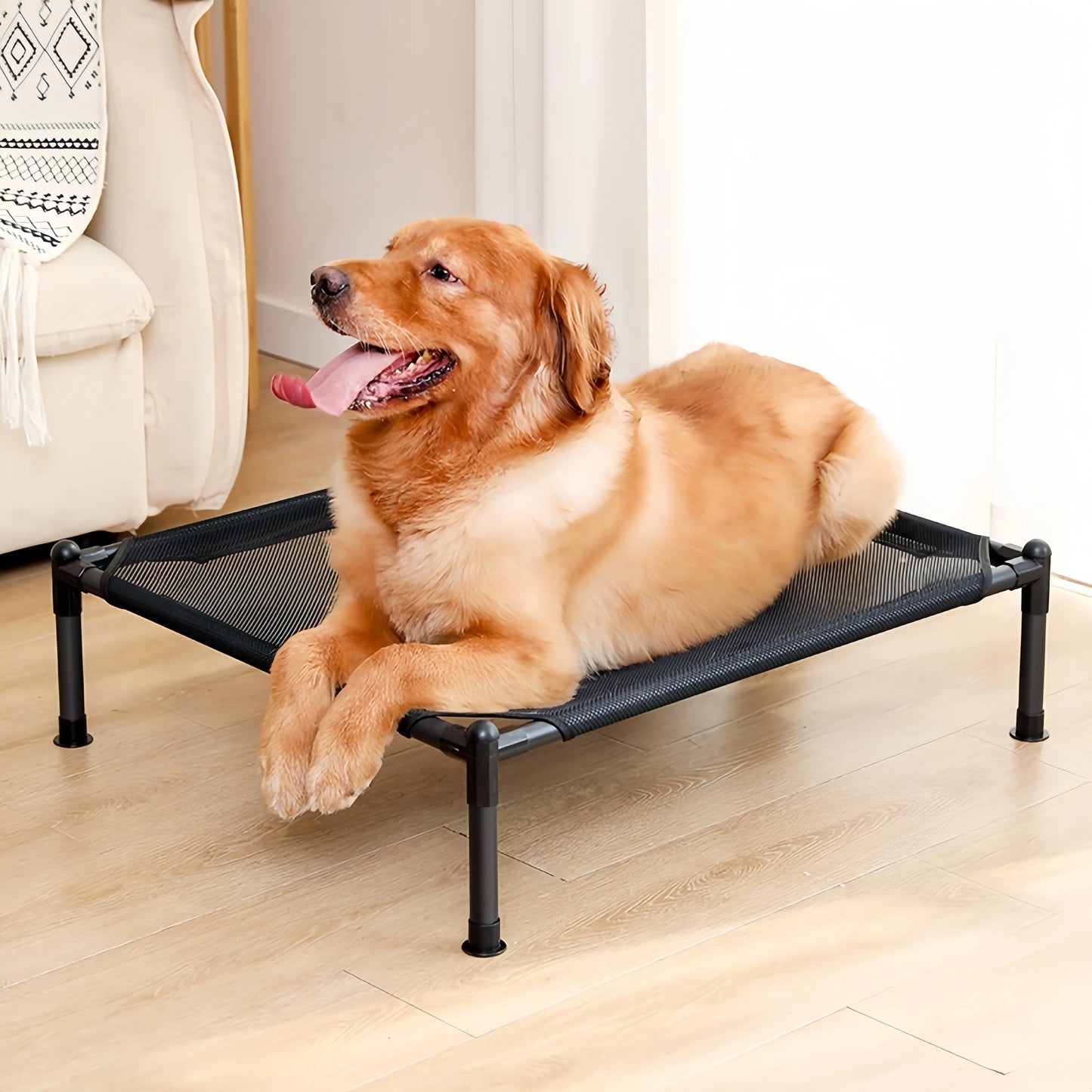 Elevated Bed for Dogs