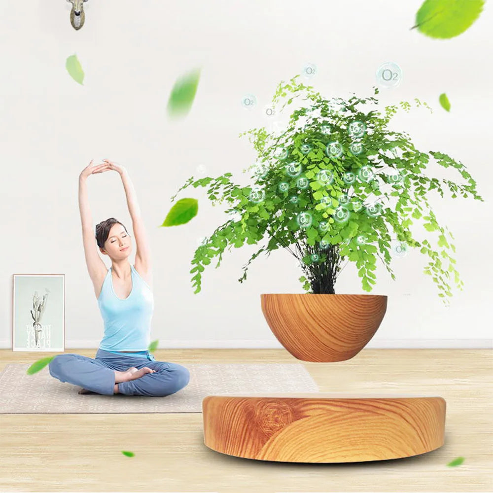 Elevated Pot Plant