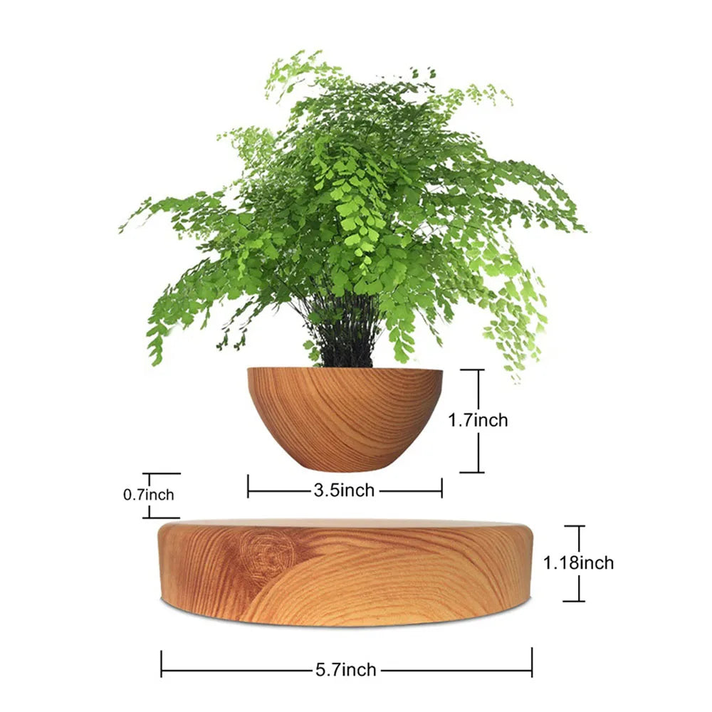 Elevated Pot Plant