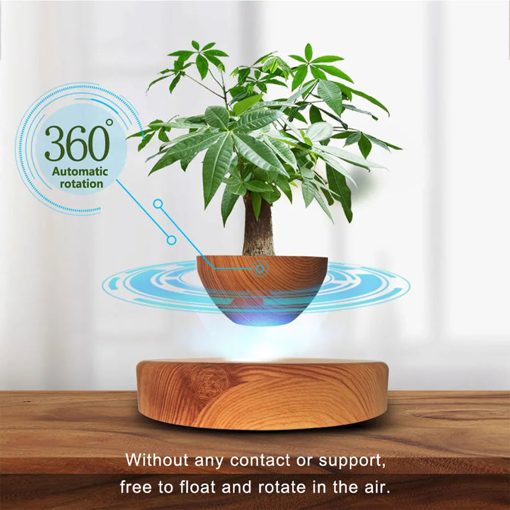 Elevated Pot Plant