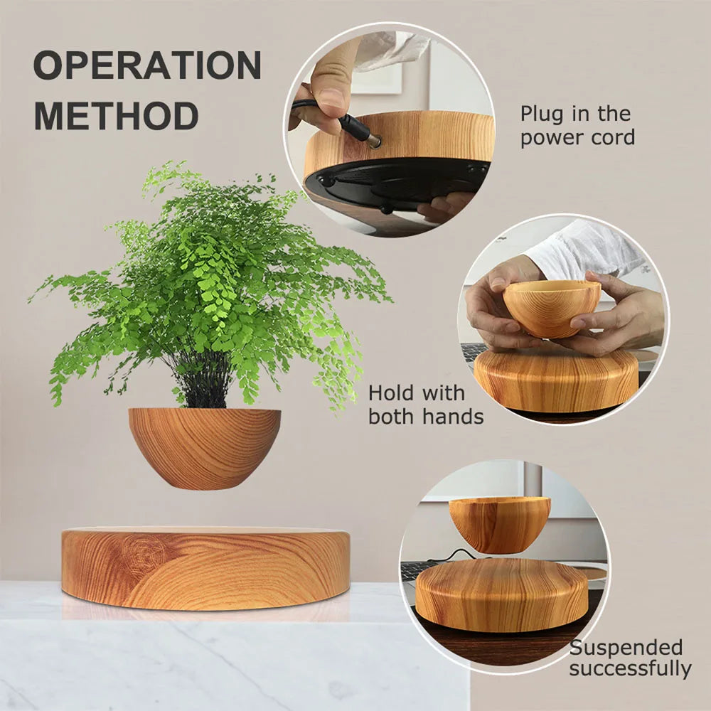 Elevated Pot Plant