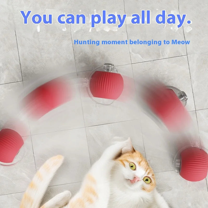 Interactive Ball