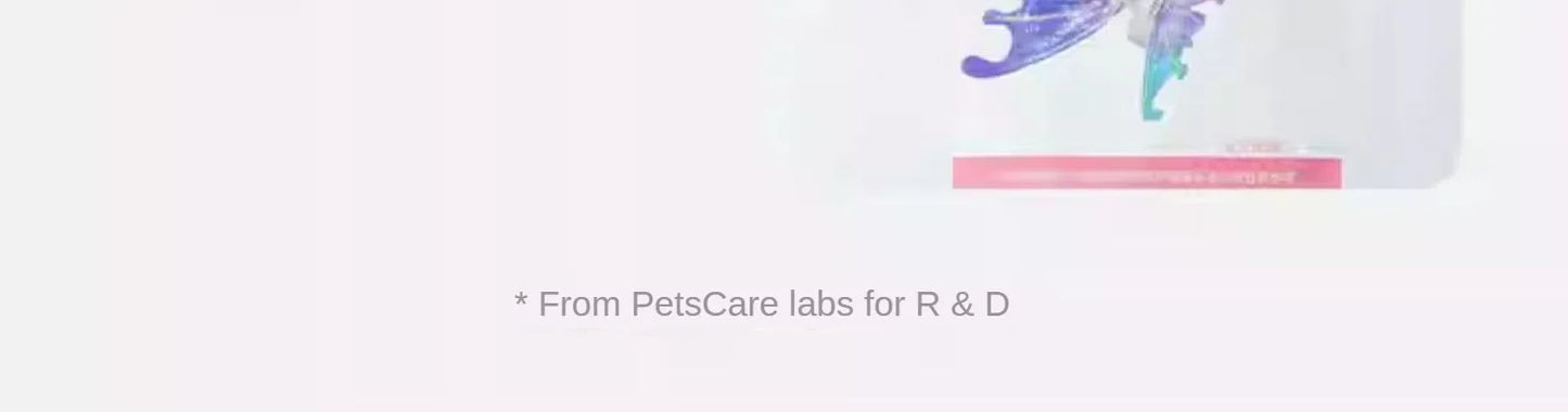 Electric Butterfly Wings for Dogs