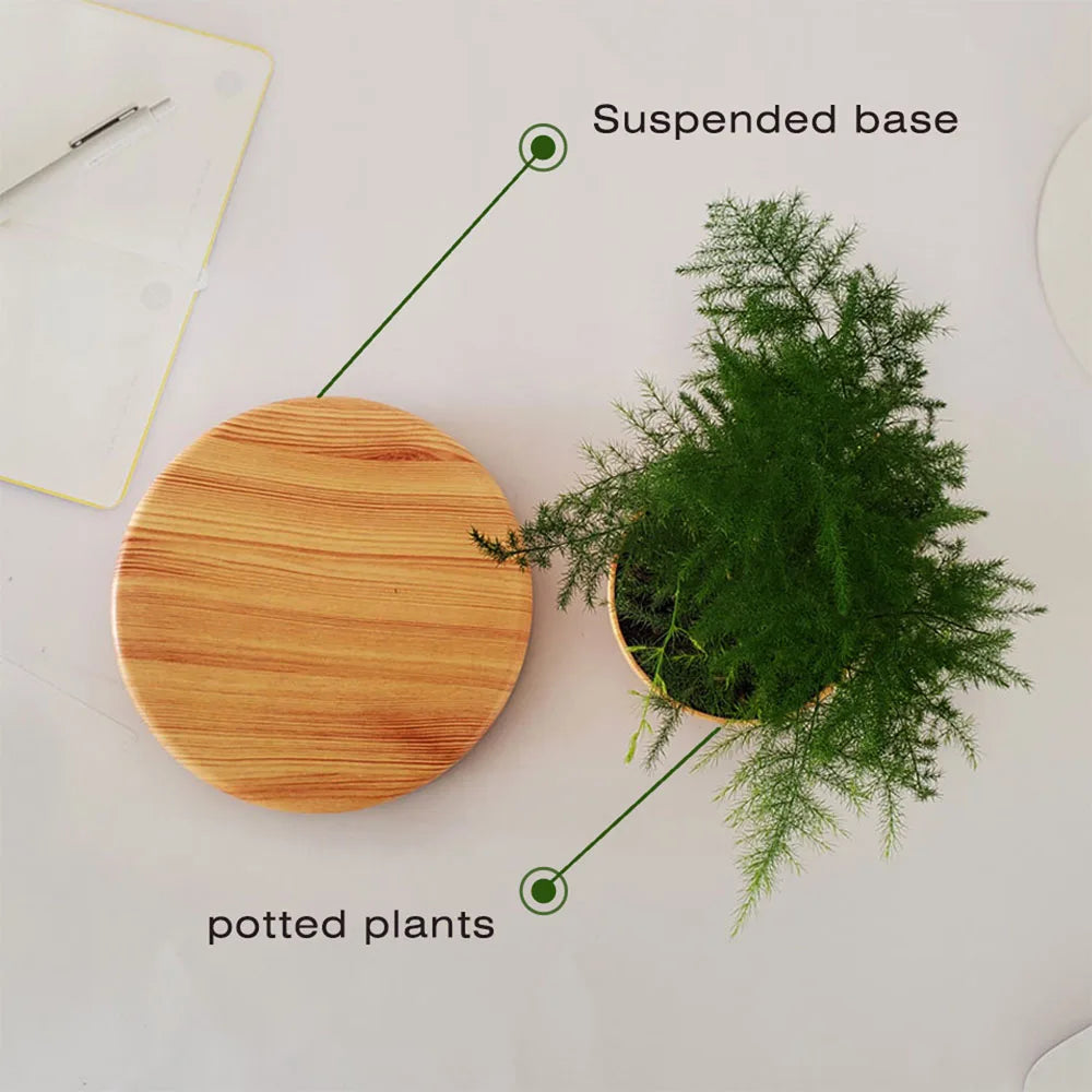 Elevated Pot Plant