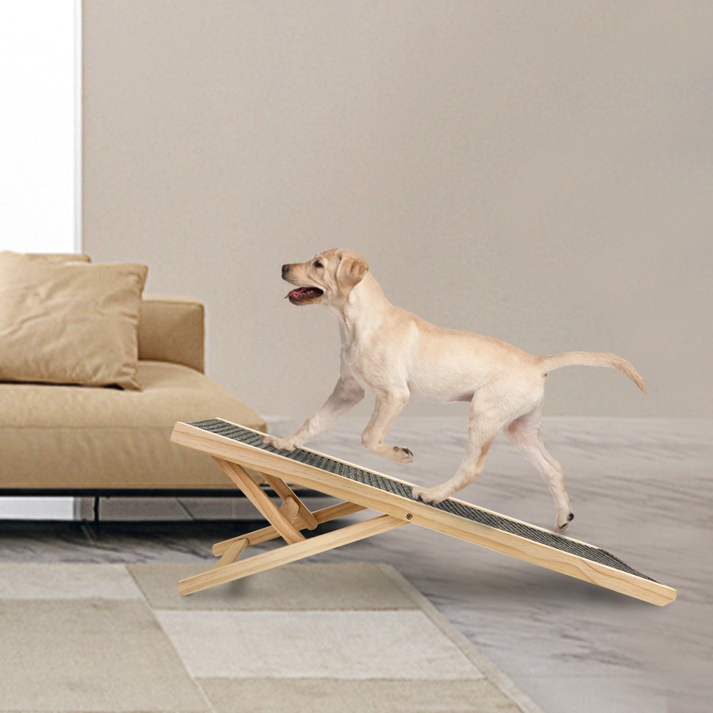 Dog Ramp Ladder