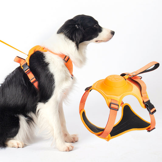 No Pull Adjustable Harness & Leash