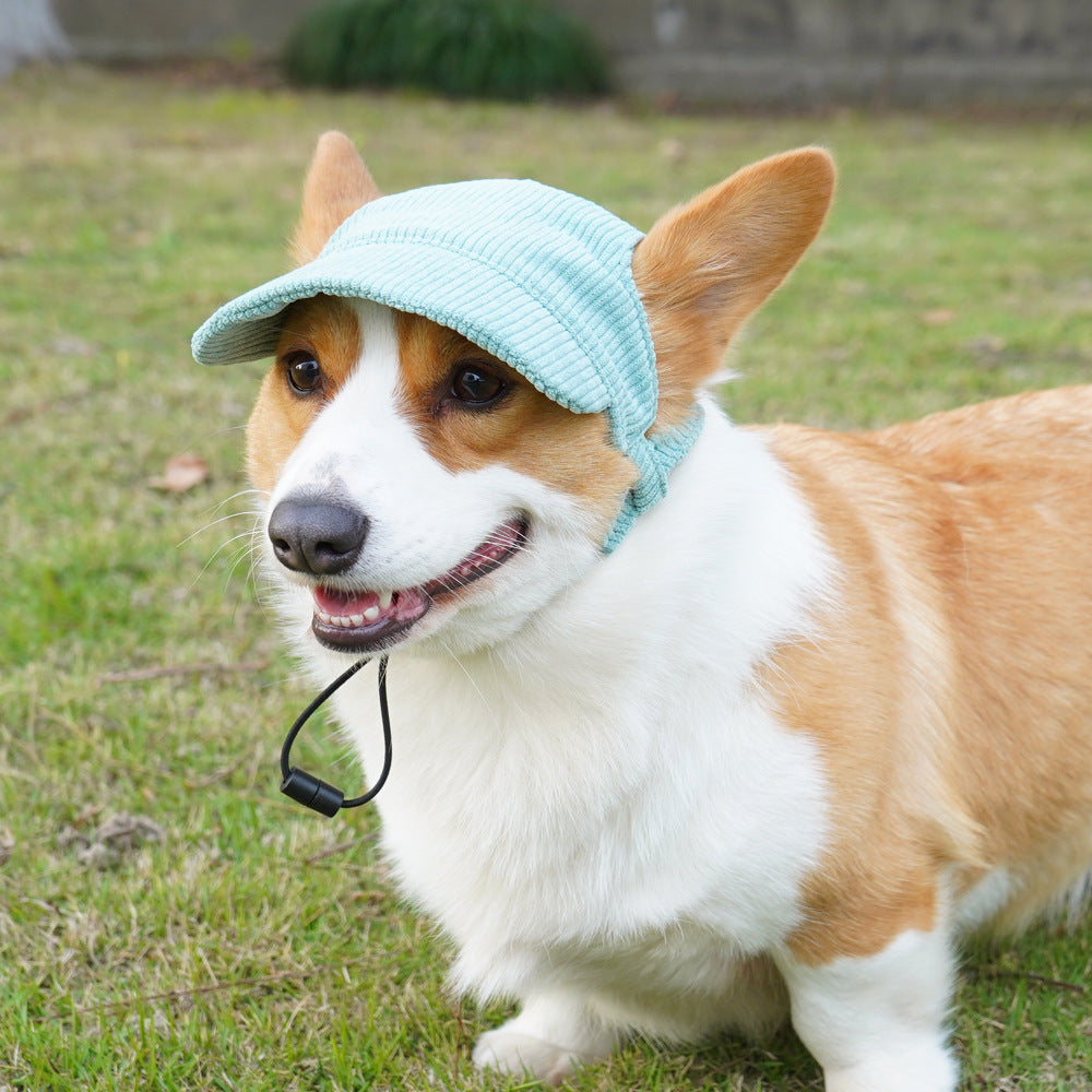 Summer Dog Hat