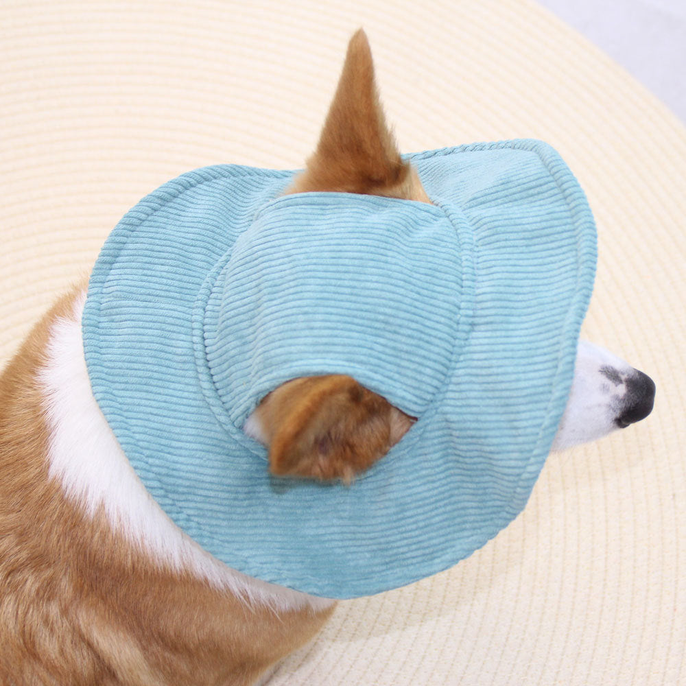 Summer Dog Hat