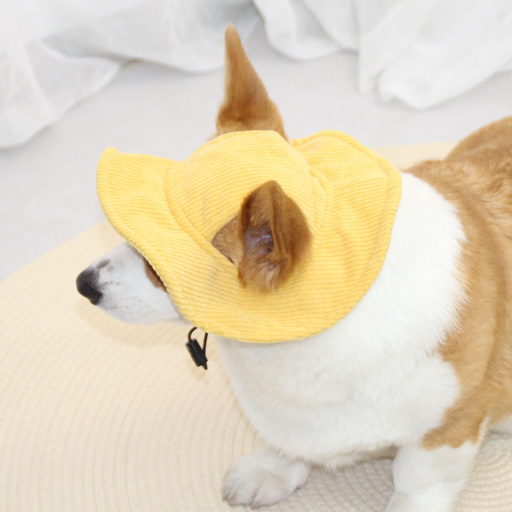 Summer Dog Hat