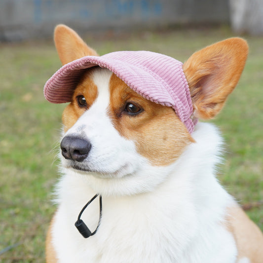 Summer Dog Hat