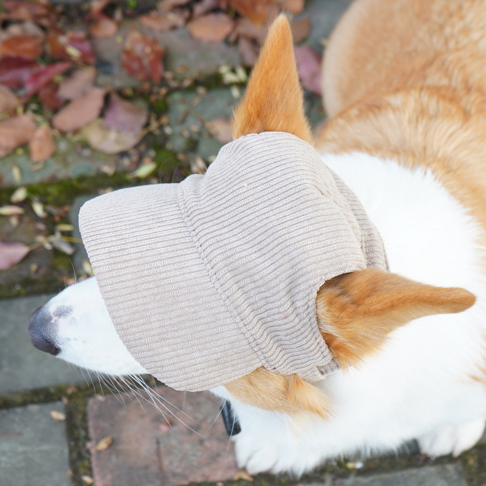 Summer Dog Hat