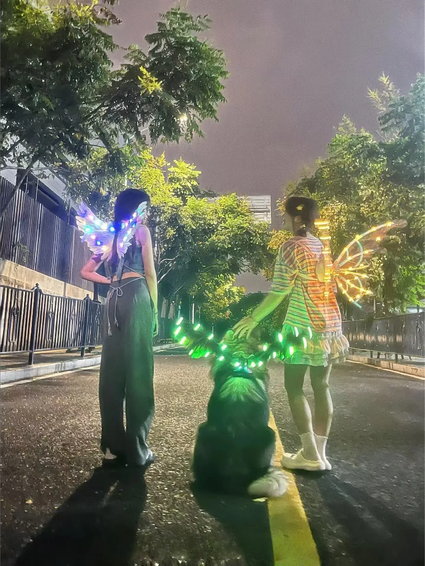 Electric Butterfly Wings for Dogs