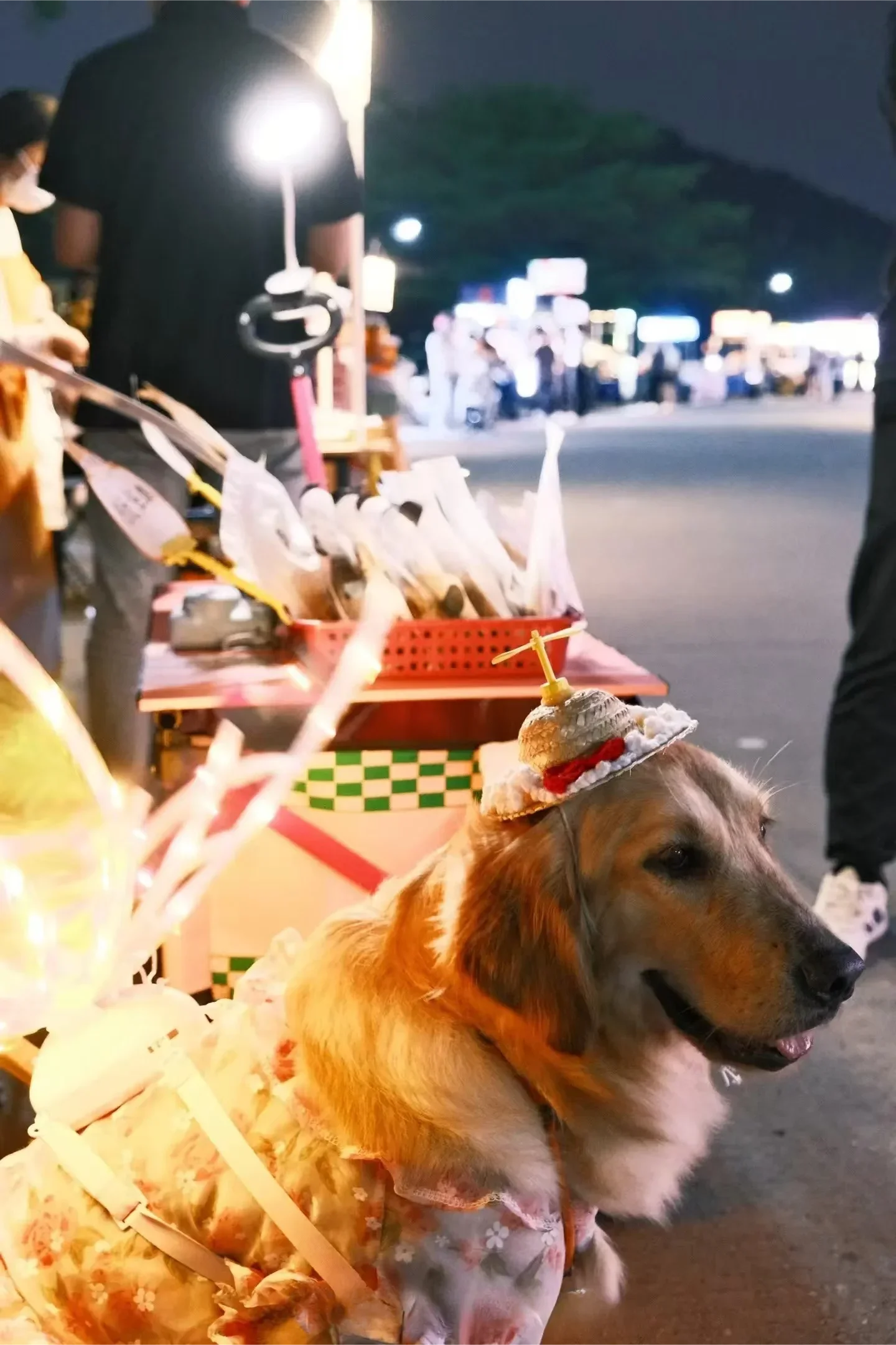 Electric Butterfly Wings for Dogs