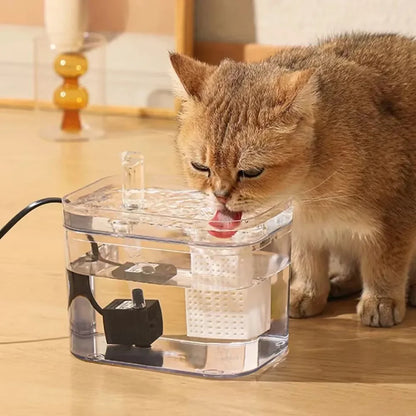 Pet Water Fountain