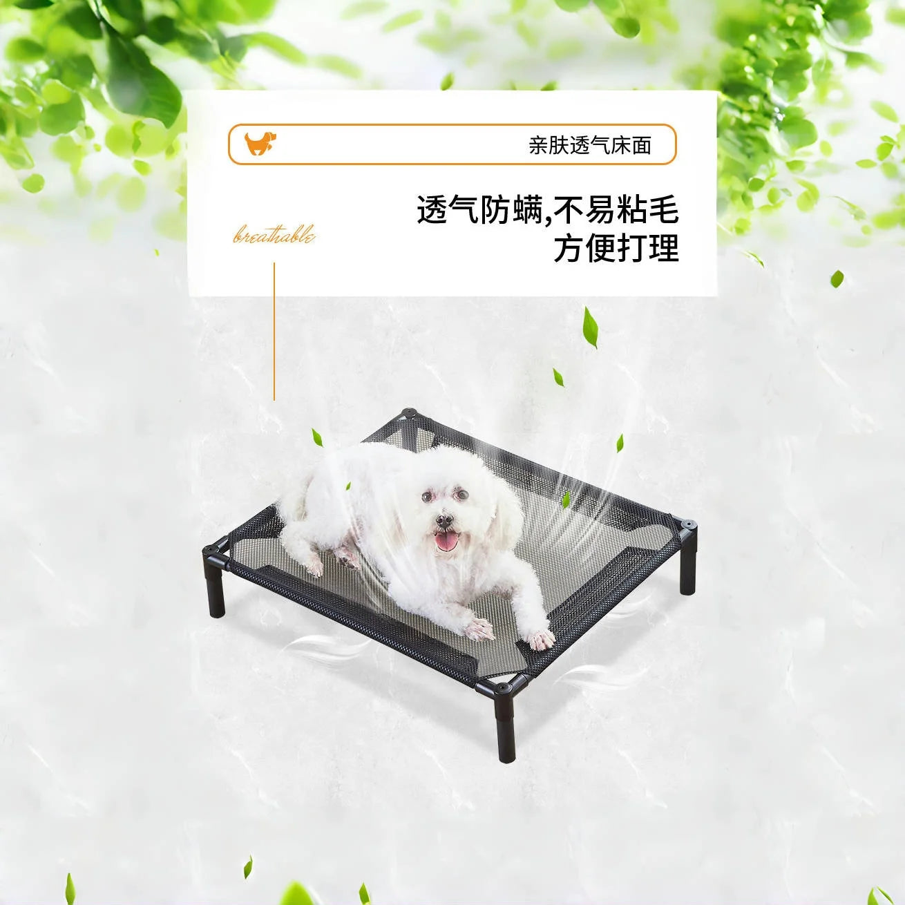 Elevated Bed for Dogs