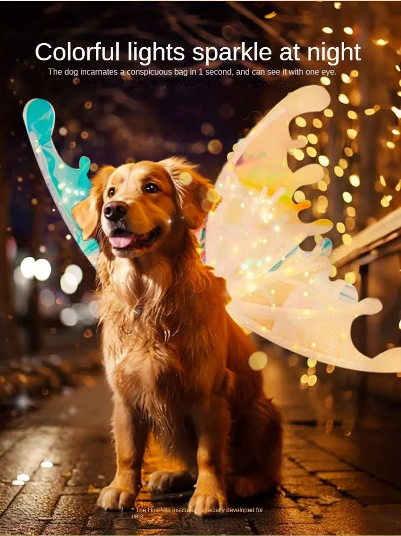 Electric Butterfly Wings for Dogs