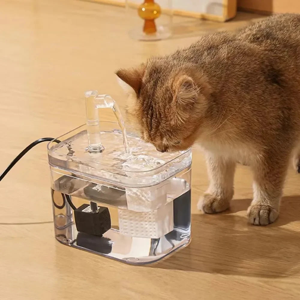 Pet Water Fountain