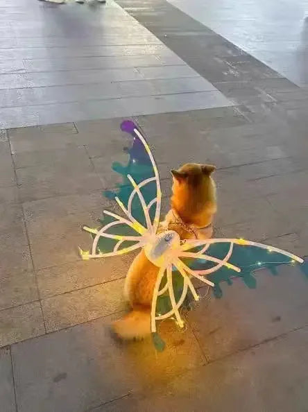 Electric Butterfly Wings for Dogs