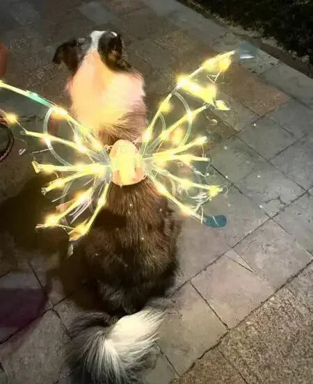 Electric Butterfly Wings for Dogs