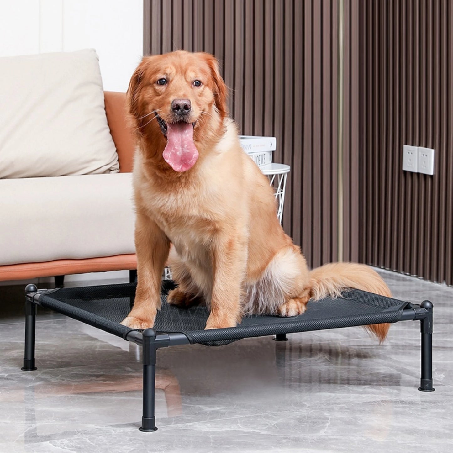 Elevated Bed for Dogs