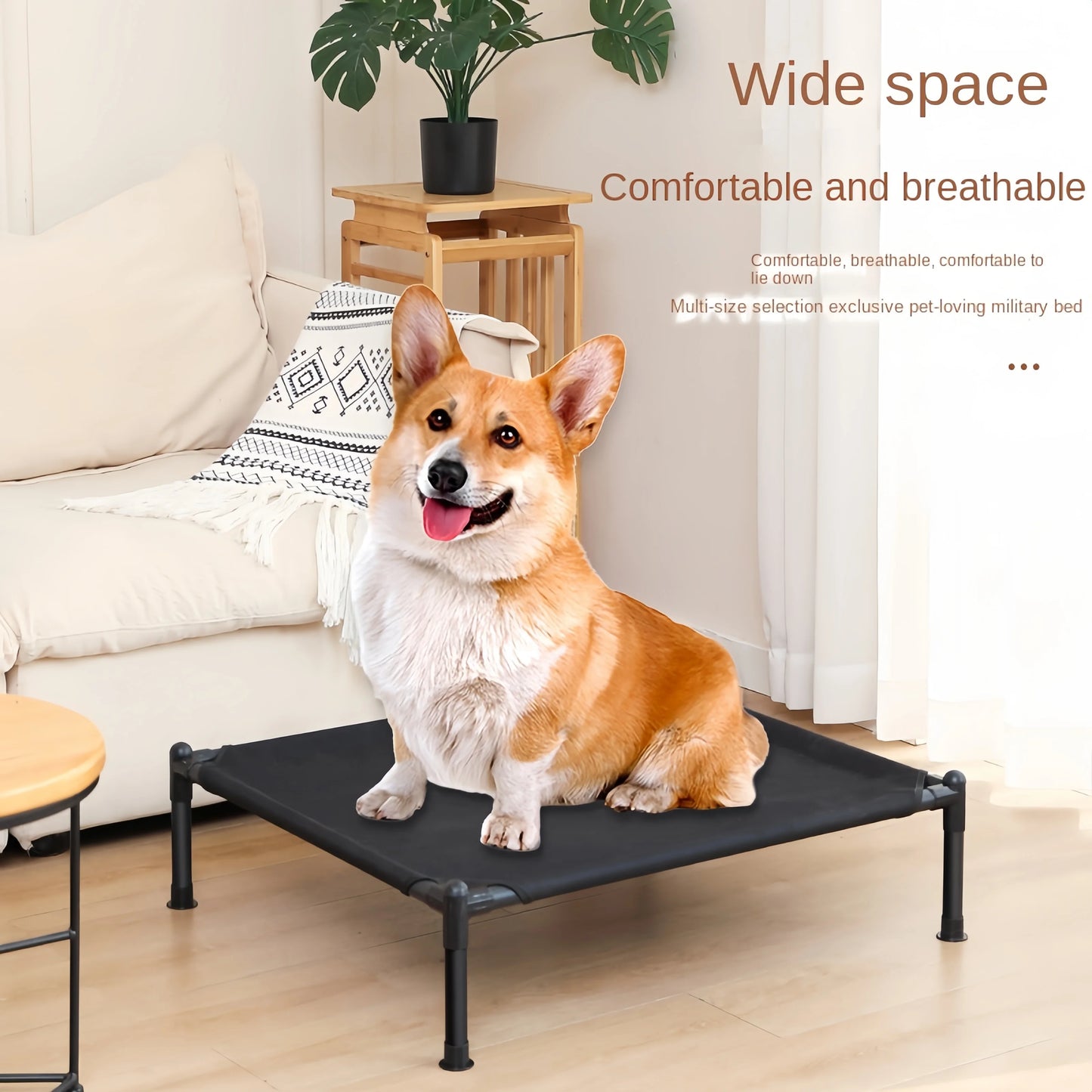 Elevated Bed for Dogs