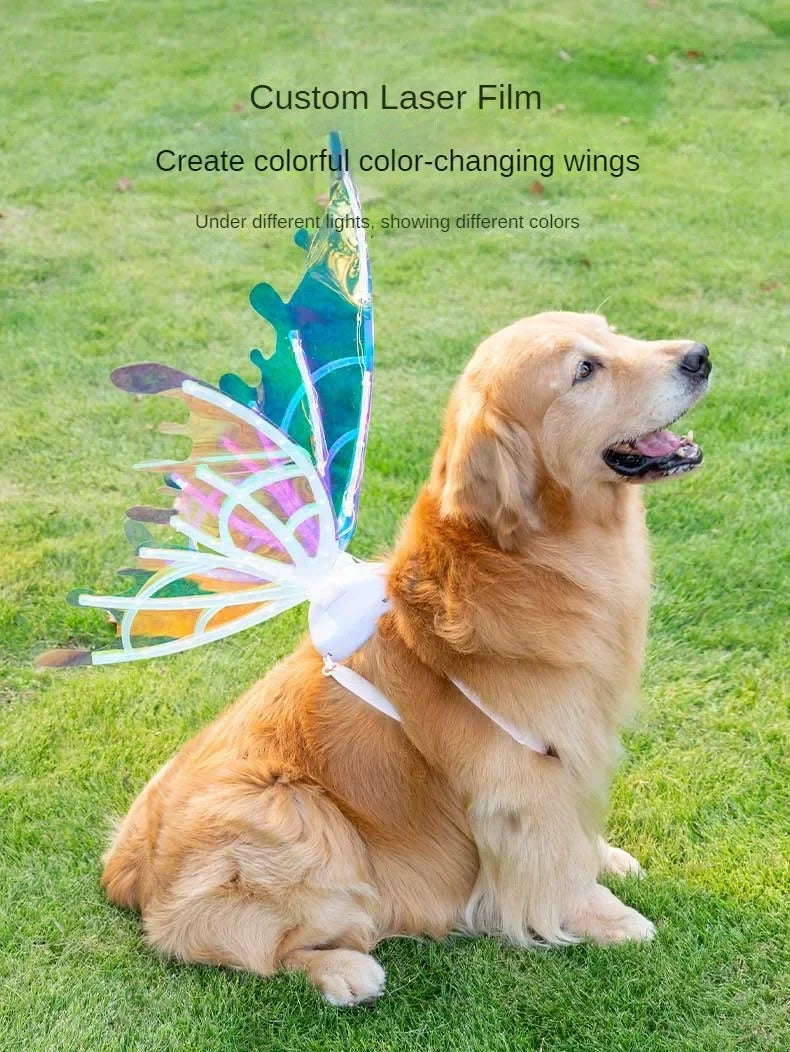 Electric Butterfly Wings for Dogs