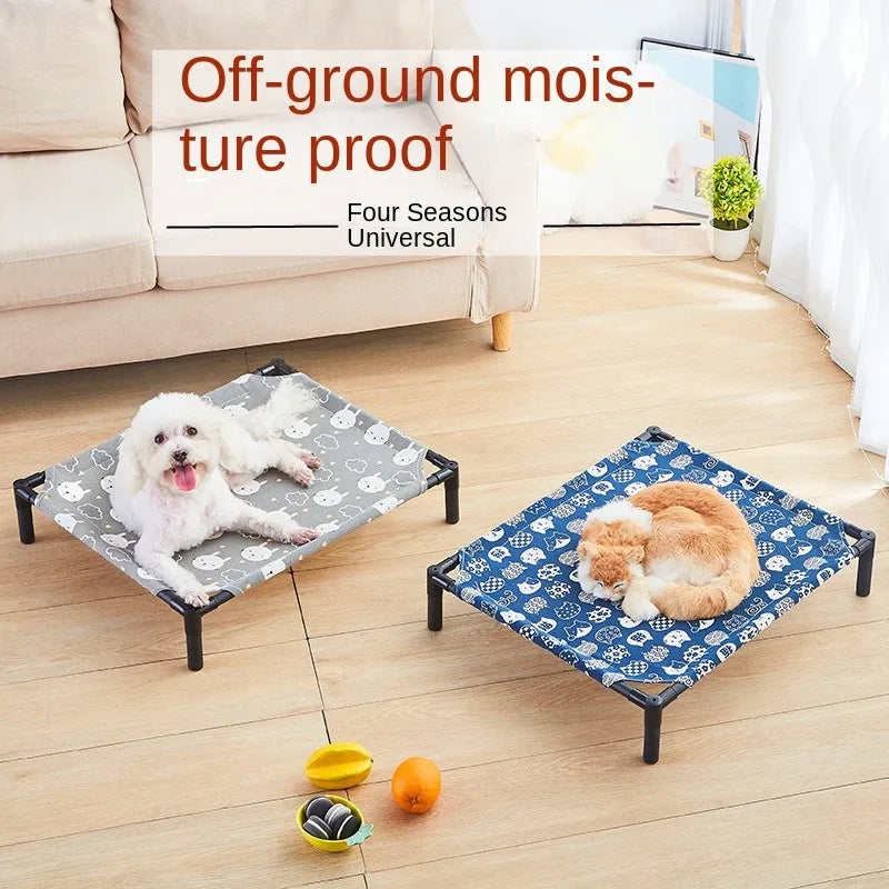 Elevated Bed for Dogs