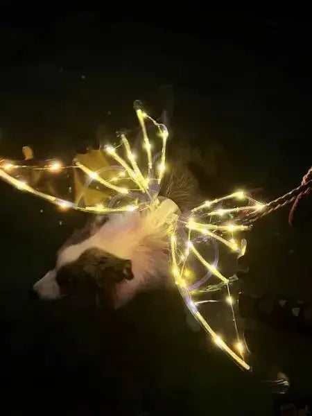 Electric Butterfly Wings for Dogs