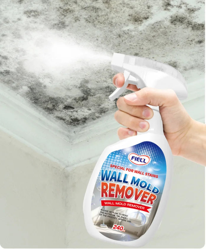 Highly Effective Mould Removal Spray