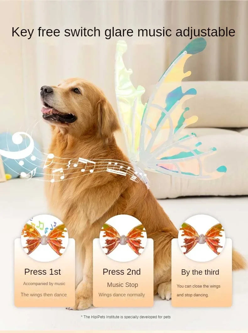 Electric Butterfly Wings for Dogs