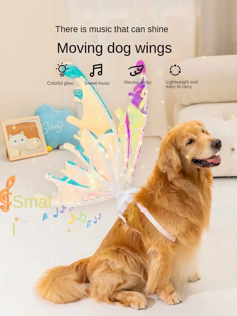 Electric Butterfly Wings for Dogs