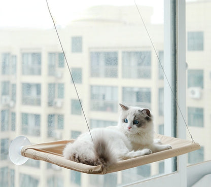 Cat Hanging Bed