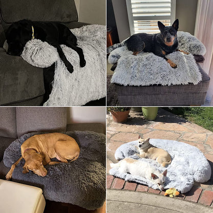 Pet Dog Bed