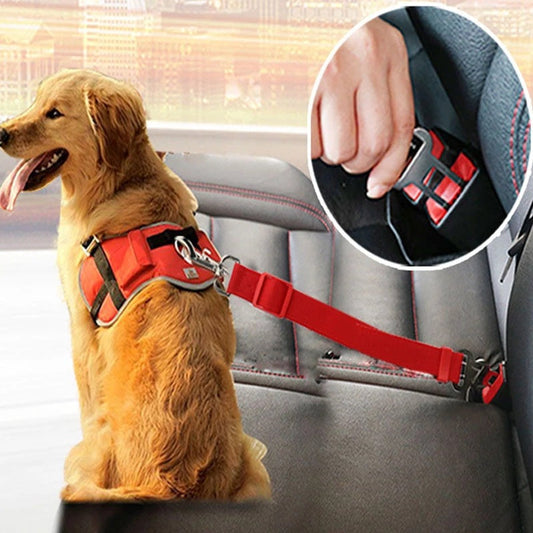 Dog Seat Belt