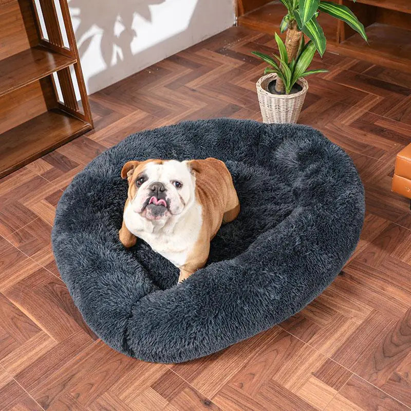 Calming Dog Bed